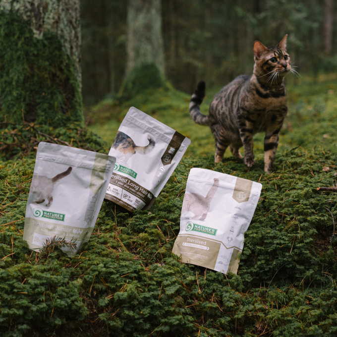 Sterilised cat dry food sales
